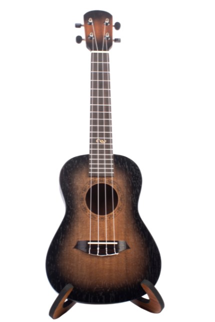 Ukelele Degrade Concierto